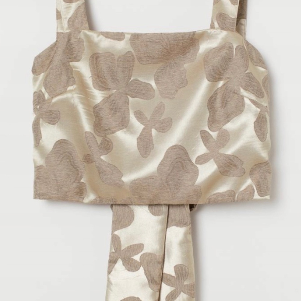 H&M Cream and Taupe Floral Jacquard Crop Top